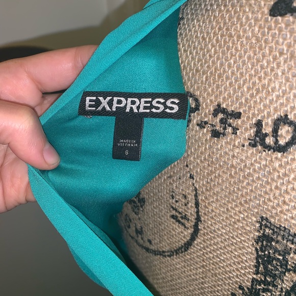 Express Dress - Picture 4 of 4